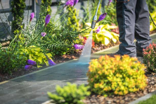 Best Driveway Pressure Washing  in Esparto, CA